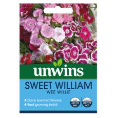 5051618032360 1 Sweet William Wee Willie Seeds.jpg